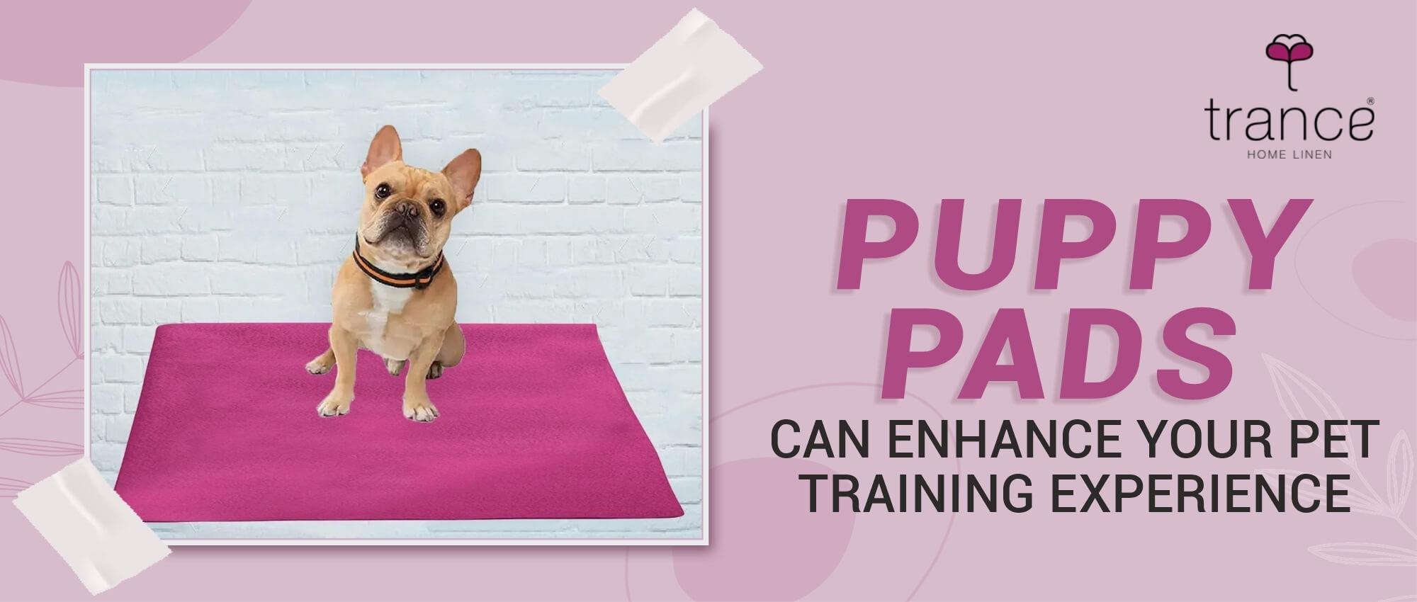 Puppy Pads Can Enhance Your Pet Training Experience – Trance Home Linen