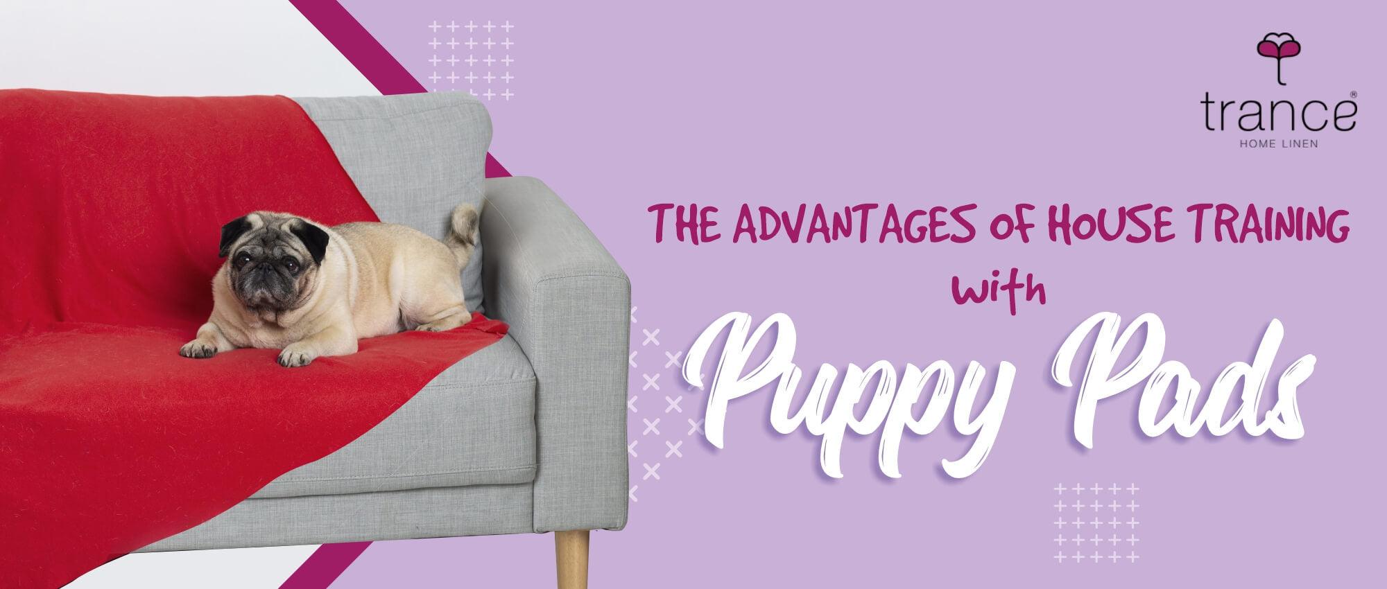 THE ADVANTAGES OF HOUSE TRAINING WITH PUPPY PADS Trance Home Linen