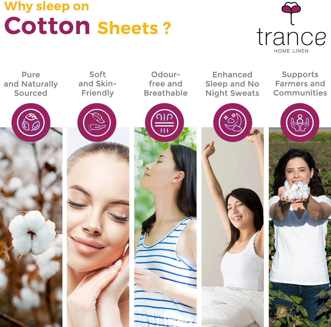 400 TC Cotton Plain Bed Sheet with Pillow Covers - Ivory