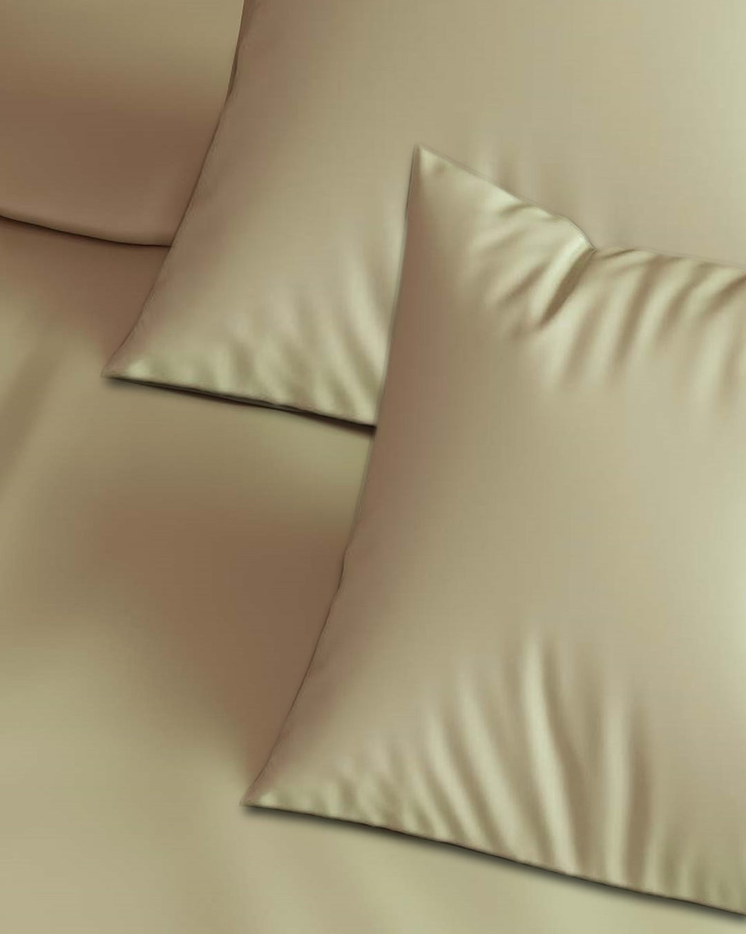 300TC Plain Cotton Pillow Covers - Pack of 2